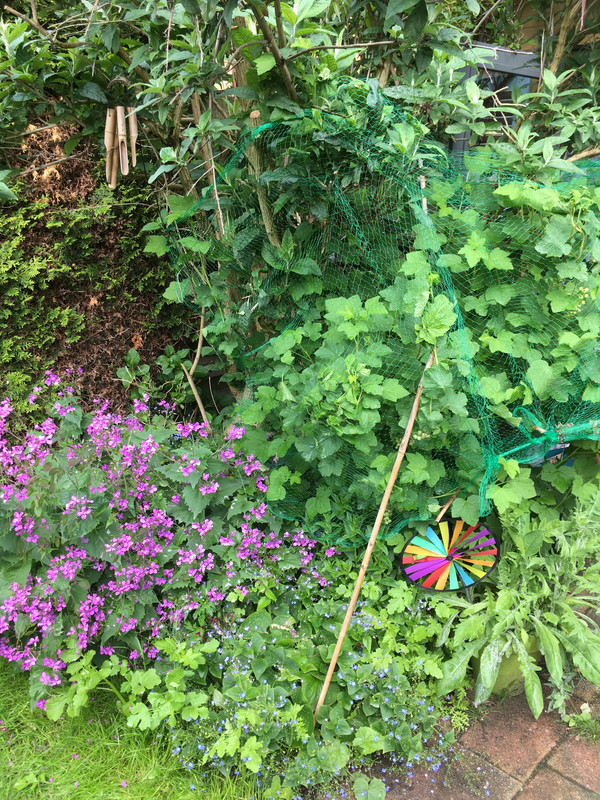 2C6F35A3-387C-4E3E-BFB1-201537EC835B