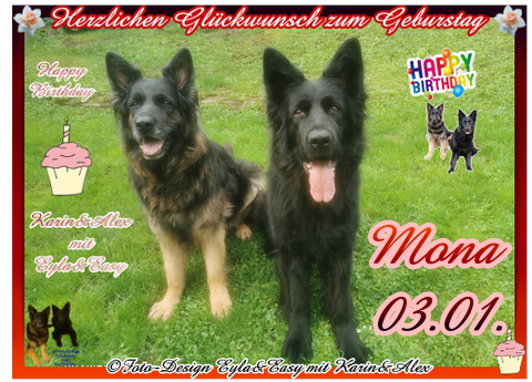 An den Beitrag angehängtes Bild: https://i.postimg.cc/gJrcxzbT/Vorlage-Geburtstag-2026-png-Mona03-01.png