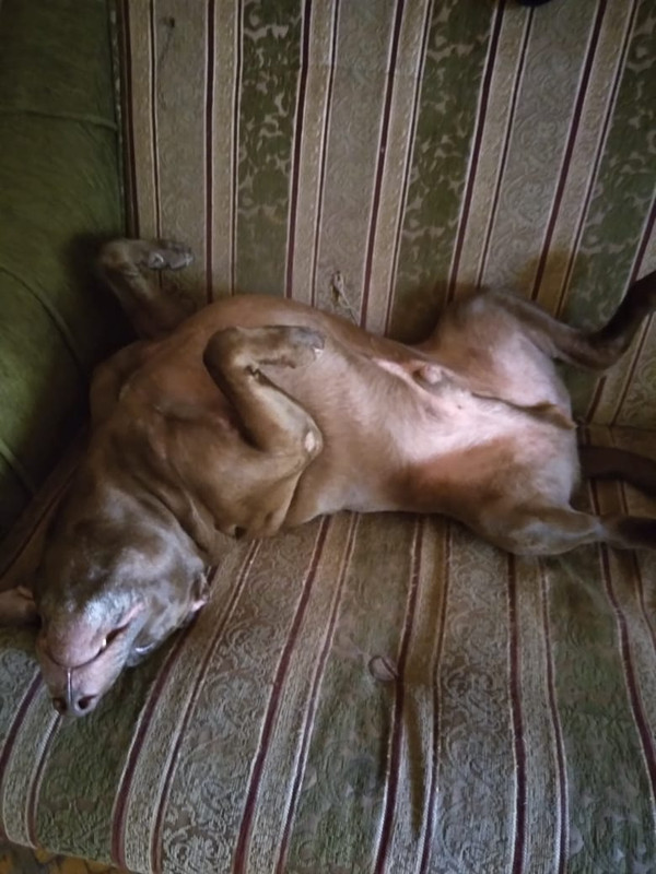 A5E67477-E7B4-43E9-87D0-620694D68A22