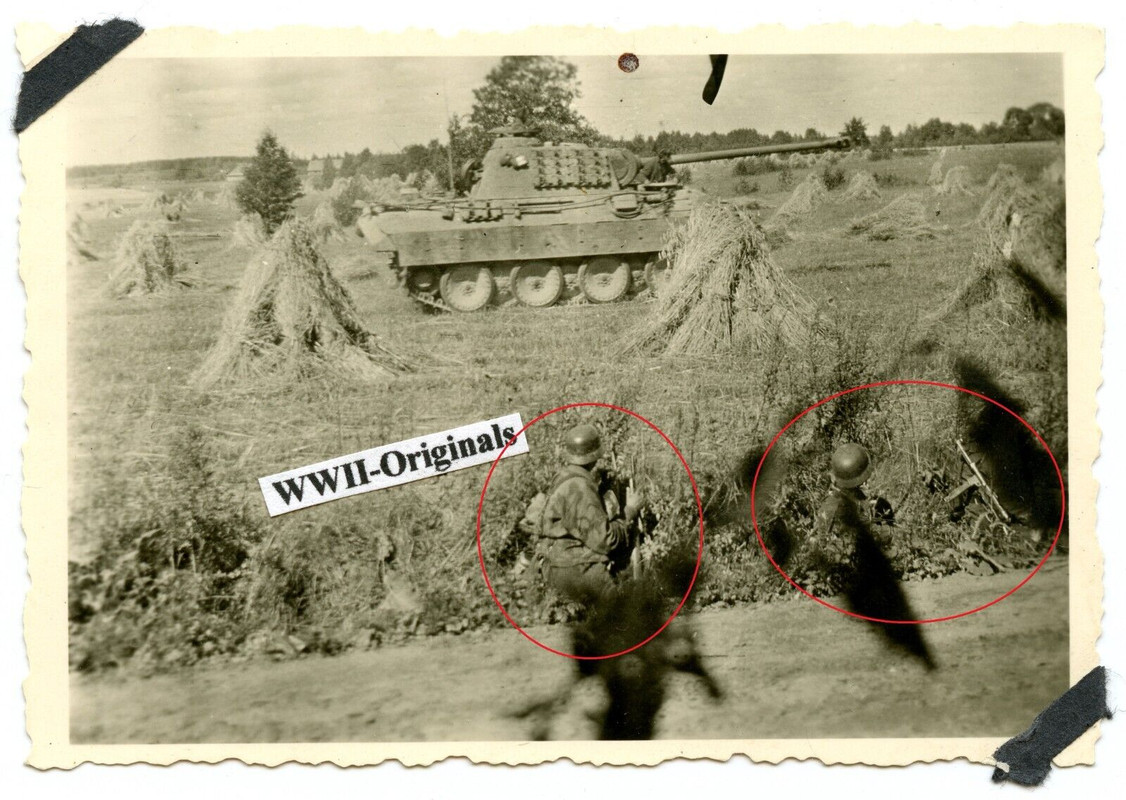 Foto Panzer V Panther Panzerkorps GD Ostpreußen Sept. 1944 Fhr.-Begleit-Btl.,1
