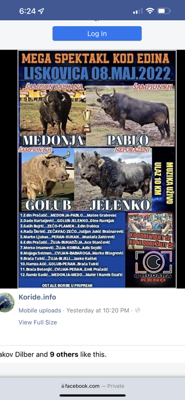 24118063-20C1-413A-B8A1-07DAD1AD68DD