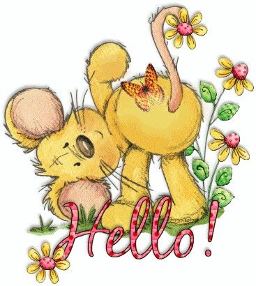 YELLOW-TEDDY-BEAR