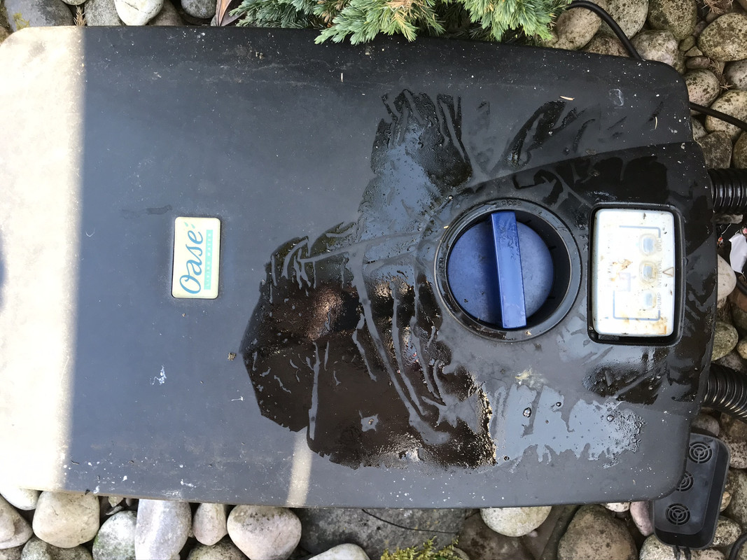 43AEB39B-E1A2-4AAD-854C-A1A9C3F90543