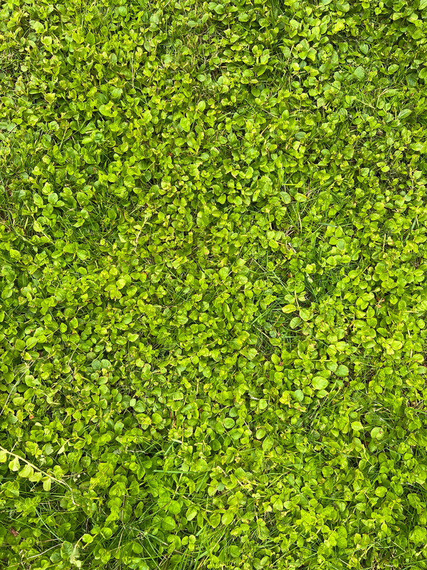 1139290C-AA34-4189-92B3-2EFE1B5B2D04