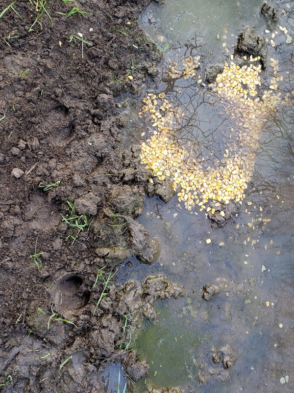 20190615_104140_resized