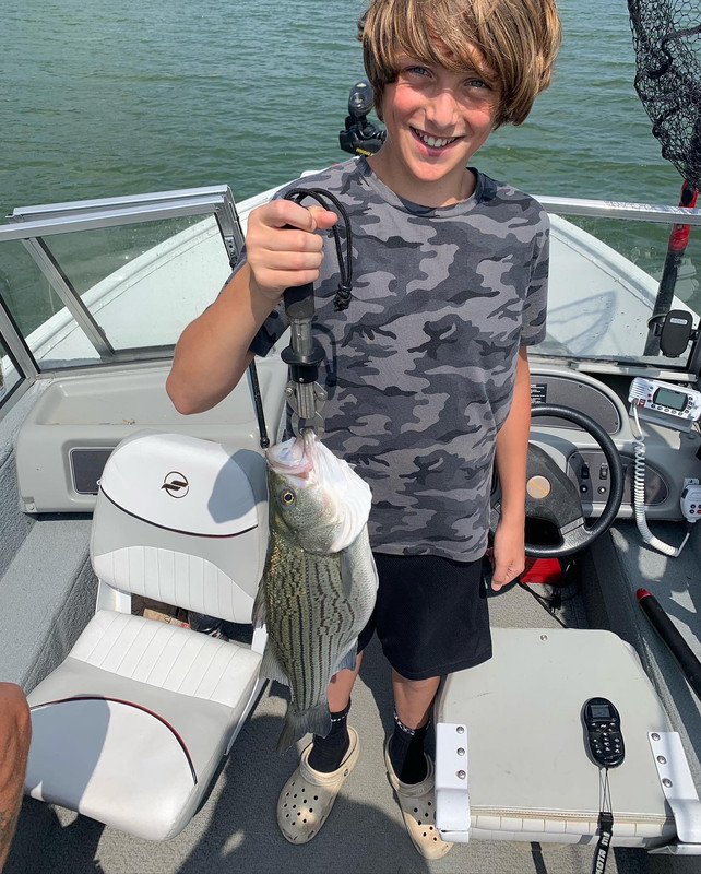 92DD63AA-F17B-452F-9D2C-752D1248F509