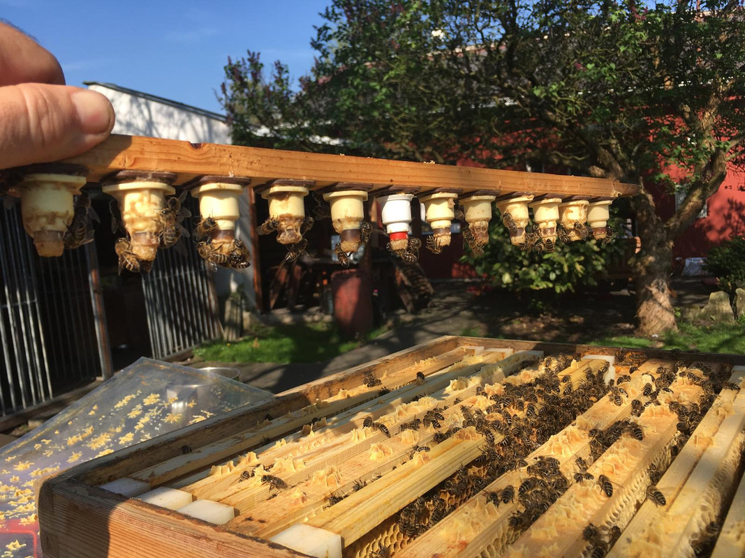 758806F0-8D93-4377-9FC7-446B3C52AA69