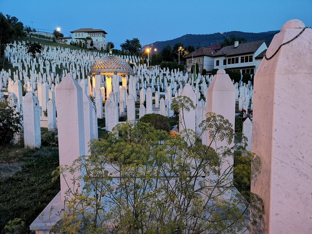[Obrazek: IMG-20190802-202946.jpg]