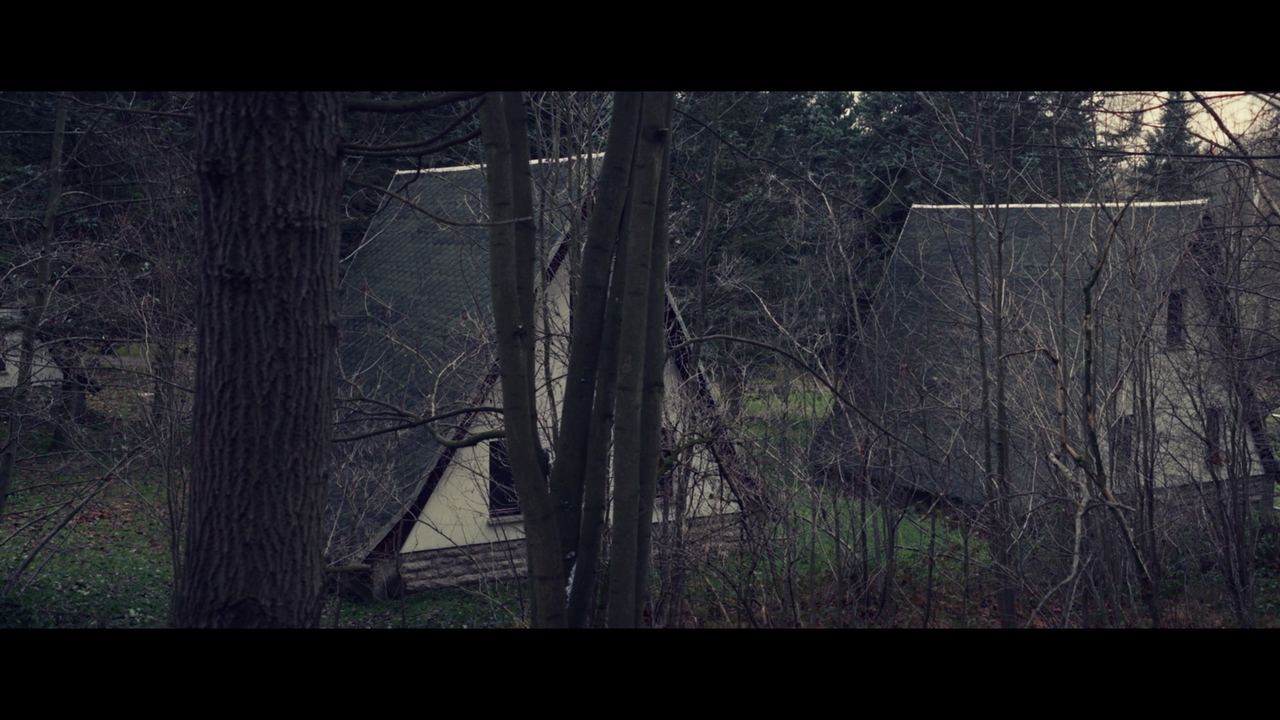 0004 — Postimages