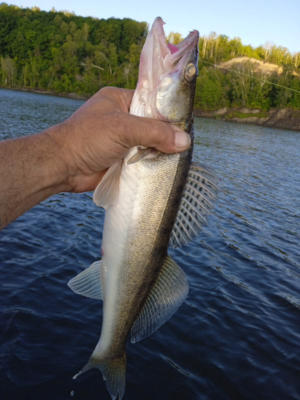 IMG_20220719_060231_1