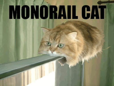 monorail-cat-zoom.gif