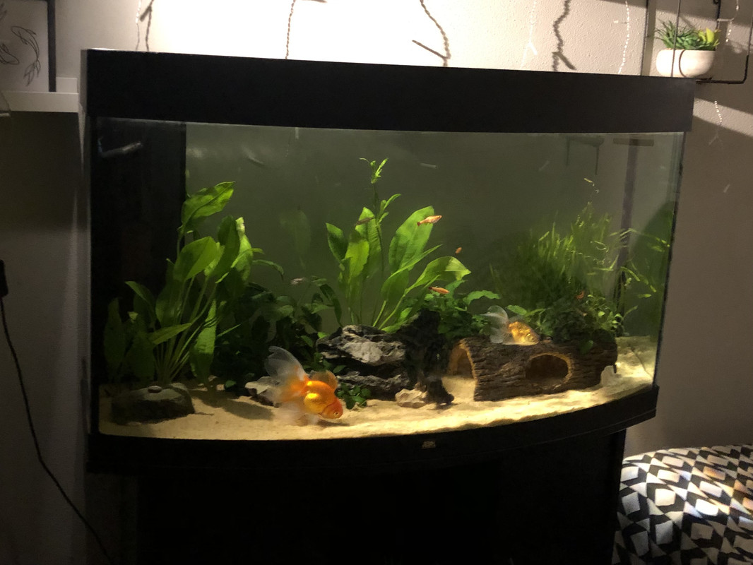 401F26E5-17C1-42F2-A652-903DE1C15701