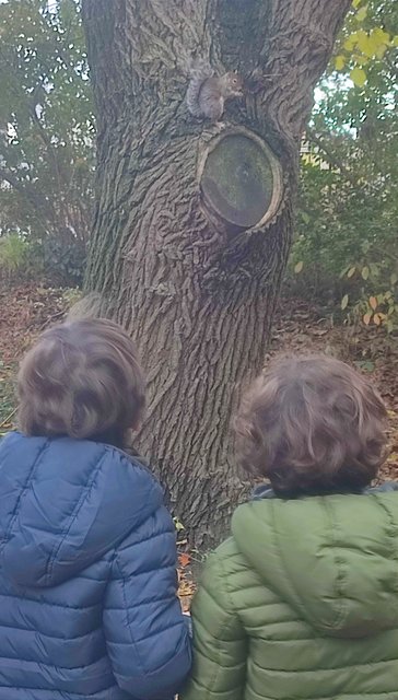 Vista icónica en Dumbo, bicis Central Park, Museo Historia y Little Italy - Nueva York y Cataratas del Niágara 2023 (19)