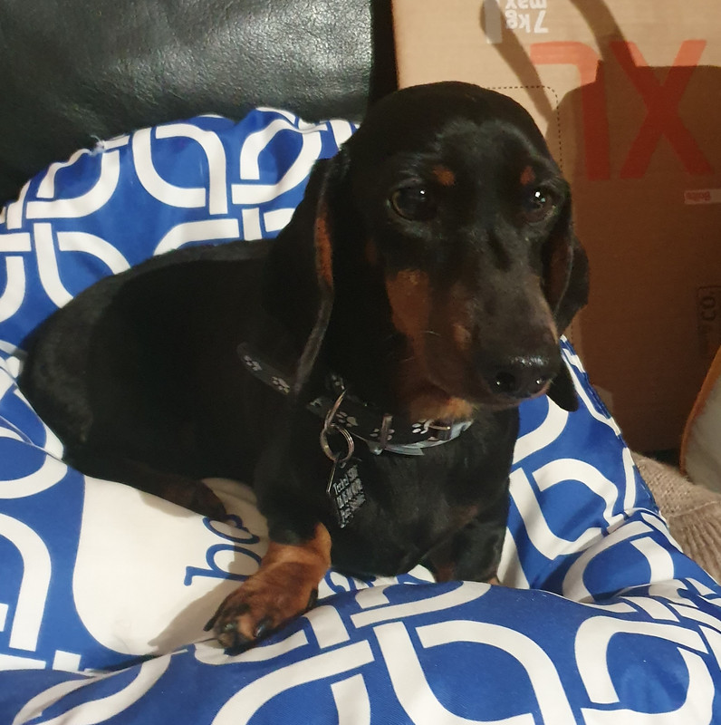 [Image: 20210117-175831.jpg]