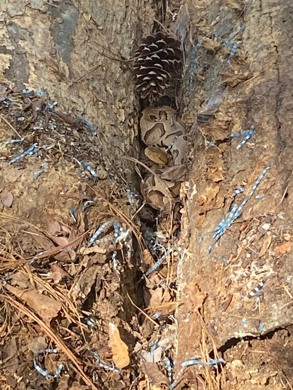 6ABC48AE-BC74-4FEE-9134-E189B980E632