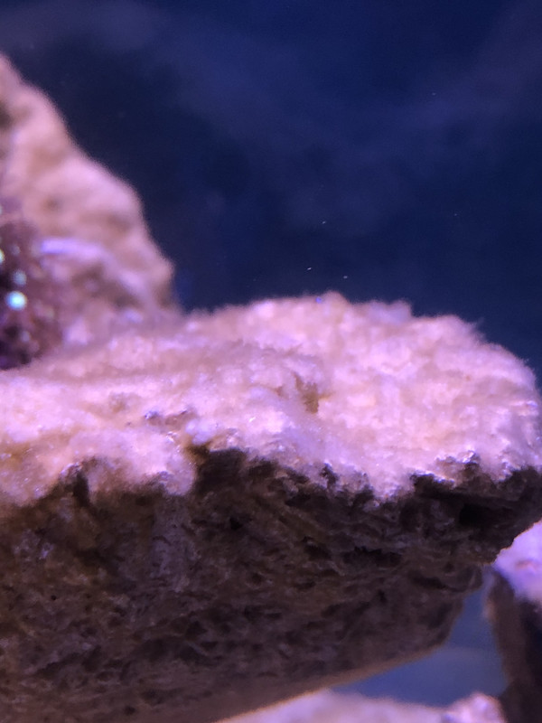 4F62C50D-2856-4DF4-9B42-85CEDF40A003