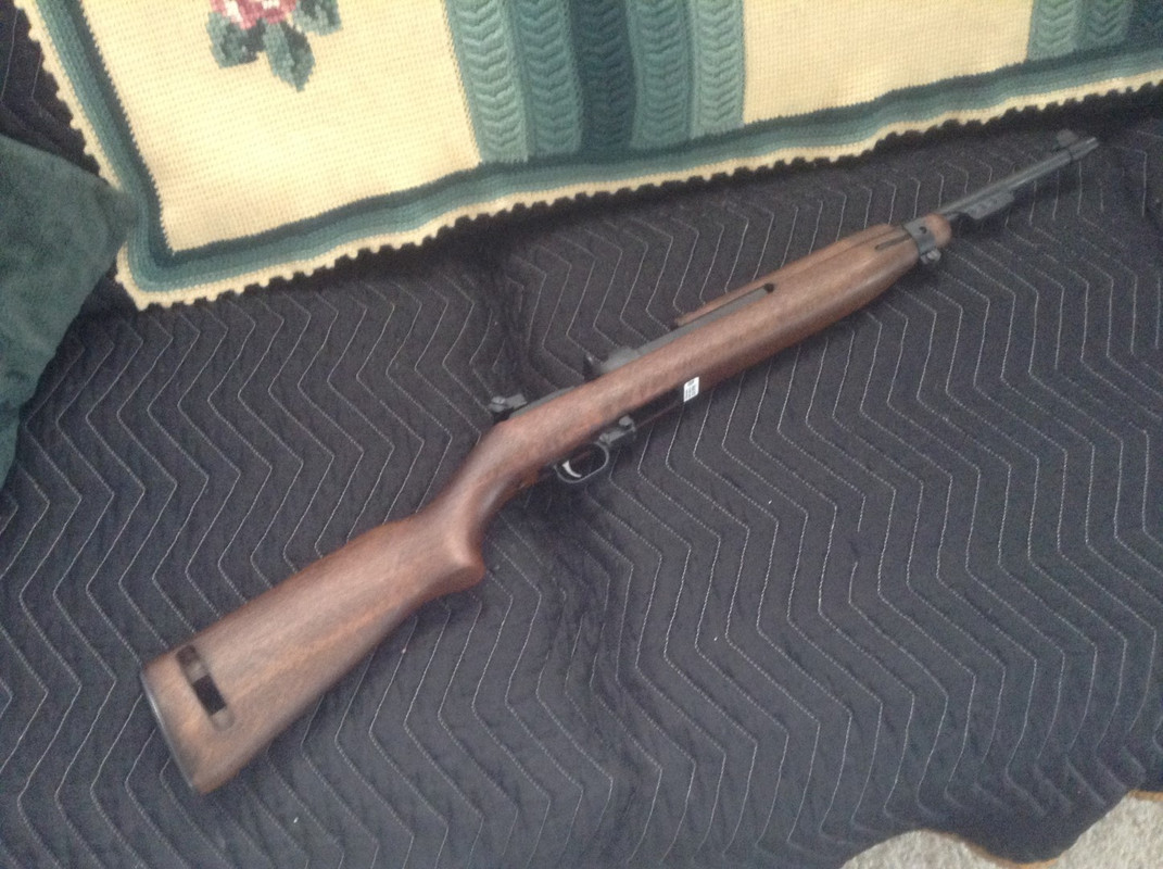 14.  Citadel  M1-22LR (2015) (Large)