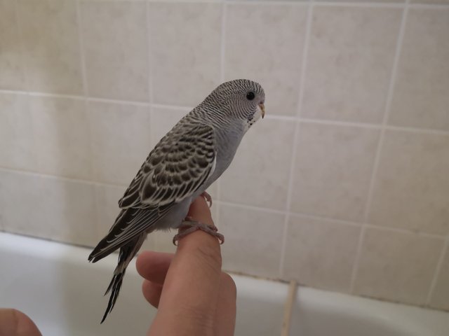 [Image: IMG-20200925-191131-1-BURST001-COVER.jpg]