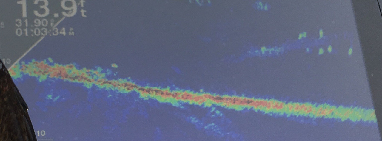 0B387D08-45E7-4077-8DE2-16D956B5DCF3