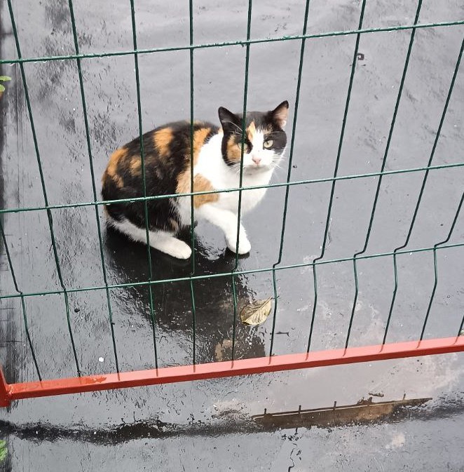 photo_2022-11-19_10-26-54