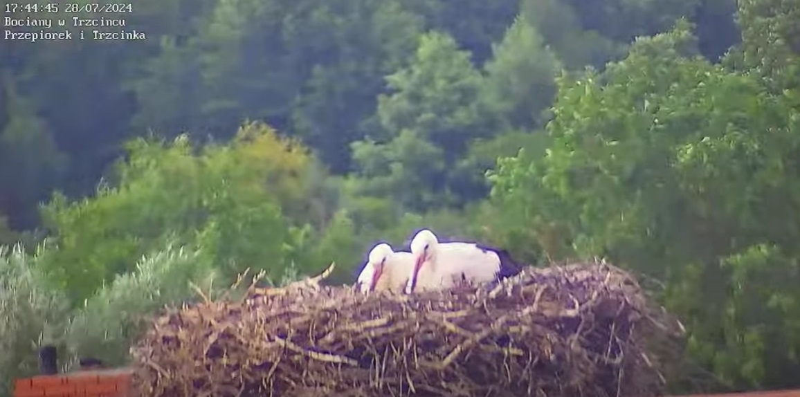 wiejedziskosmicznieawogolezegarpokazujegodzinedotylu