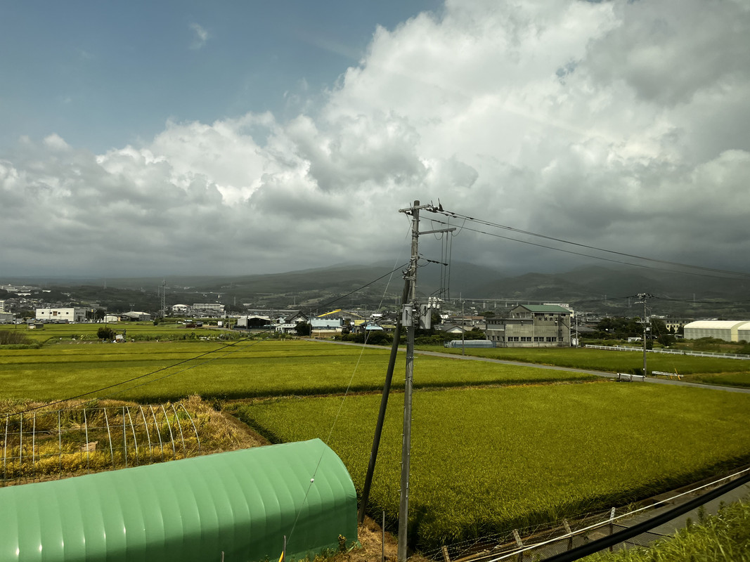 290DF600-8DF2-46D1-8A65-115D09257B0D