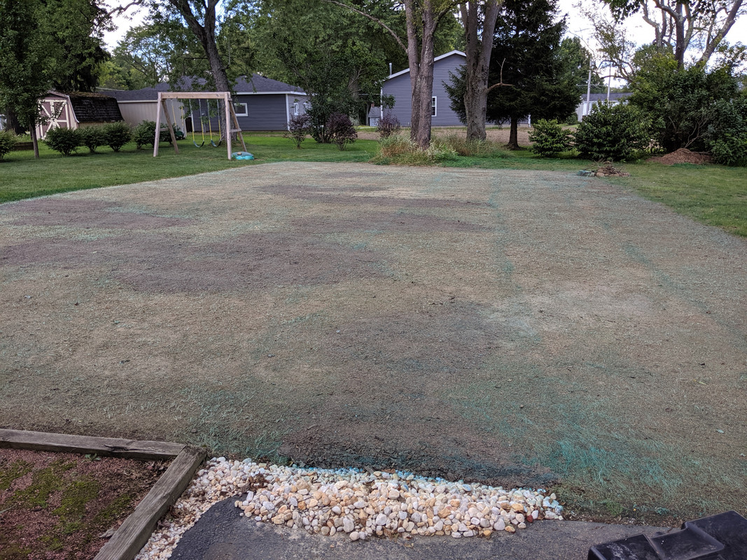 MVIMG_20190810_153626