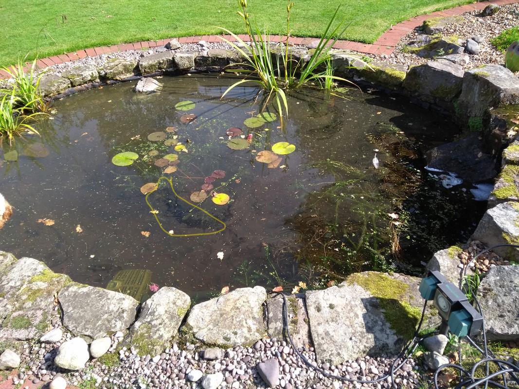 pond3