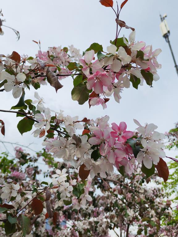 https://i.postimg.cc/gJwCtvLS/IMG-20260514-153326.jpg