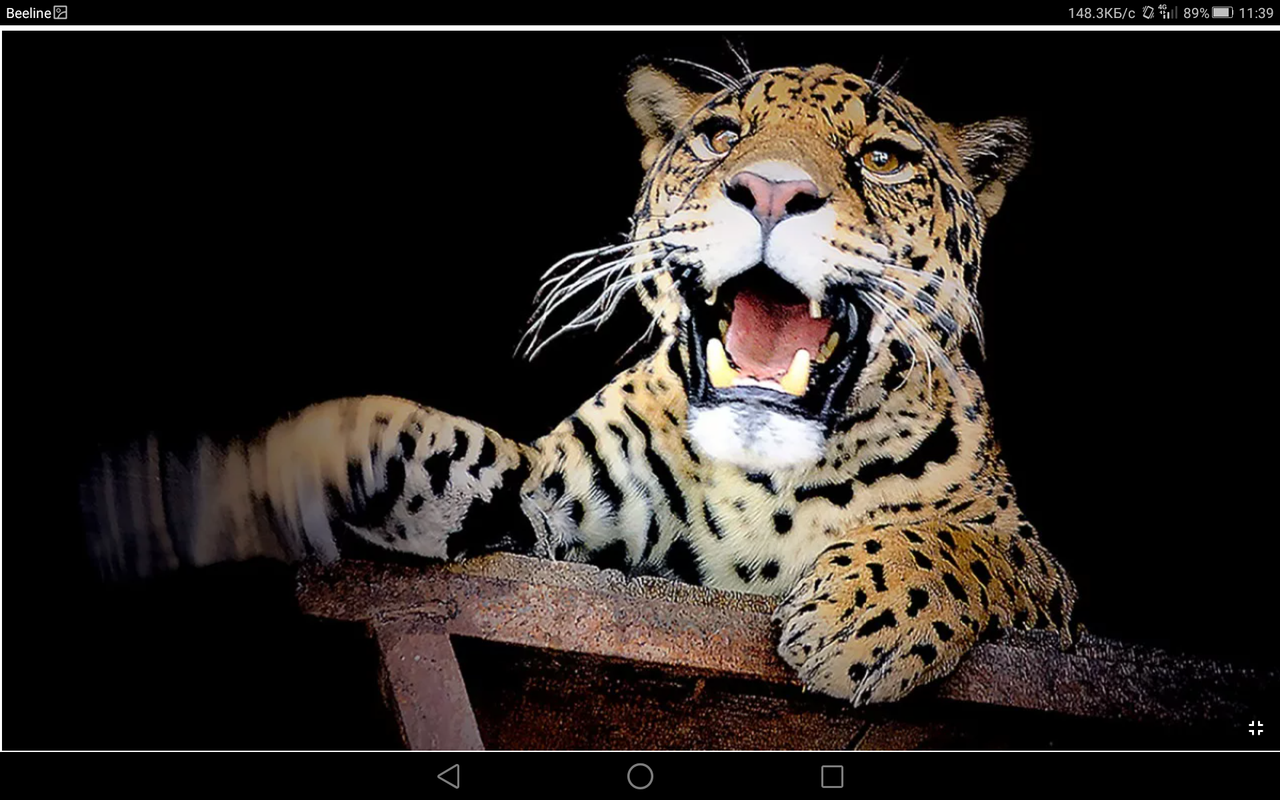 Screenshot_2021-11-29-11-39-05