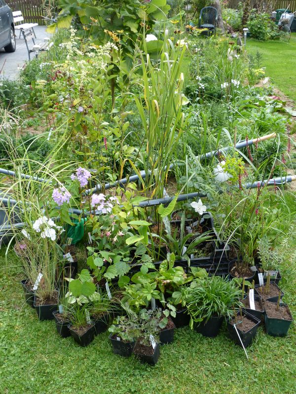 2014-09-06 Boga-Beute