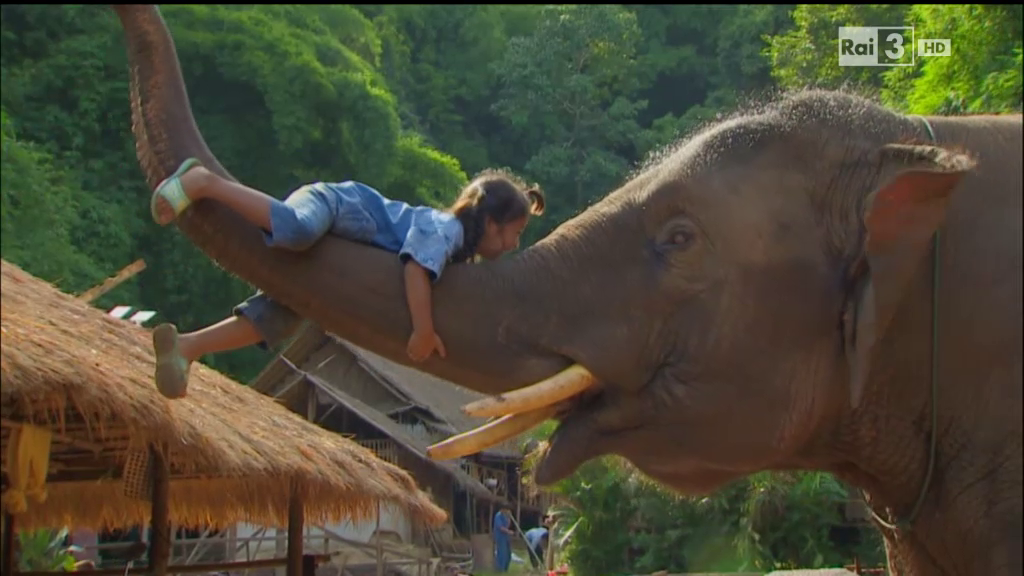 vlcsnap-3807-05-29-11h36m34s541