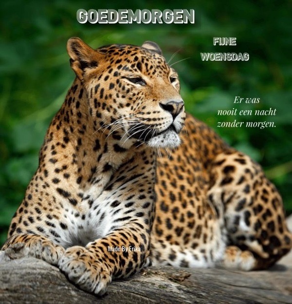 HTML leren