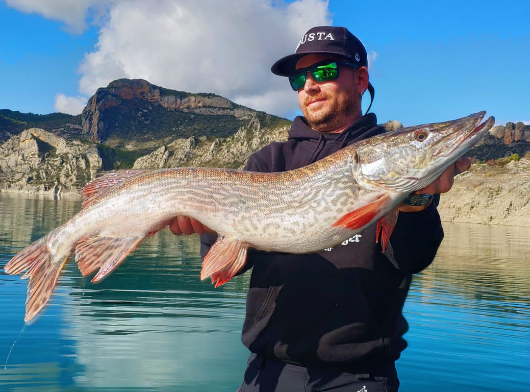 WhatsApp Image 2019-12-02 at 08.29.47 (3)