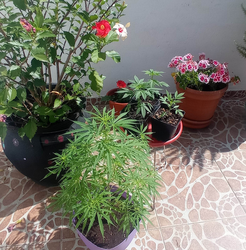 322154853_2929046330573146_6784662069763449069_n