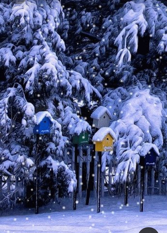 Screenshot_20230326_224330_Pinterest