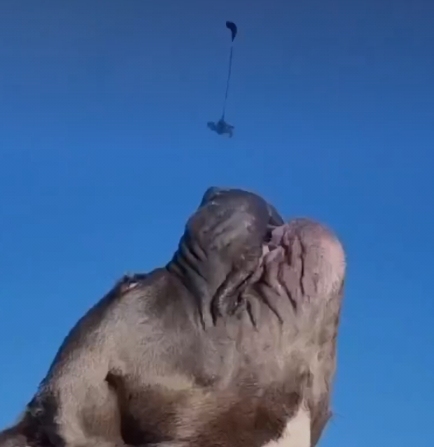 Capture d’écran du 2023-11-07 15-58-37