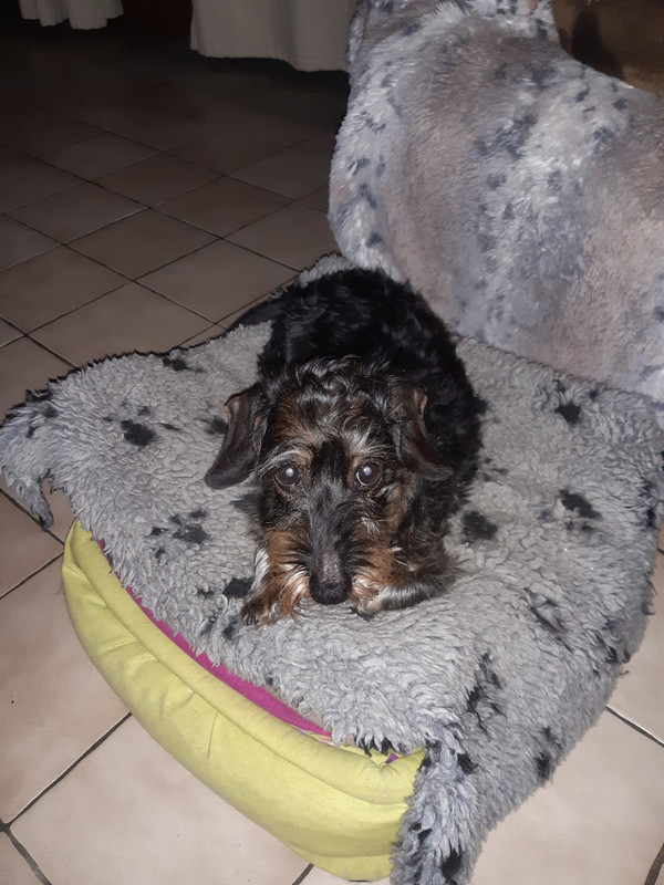 [Image: 20201128-182100-DAISY.jpg]