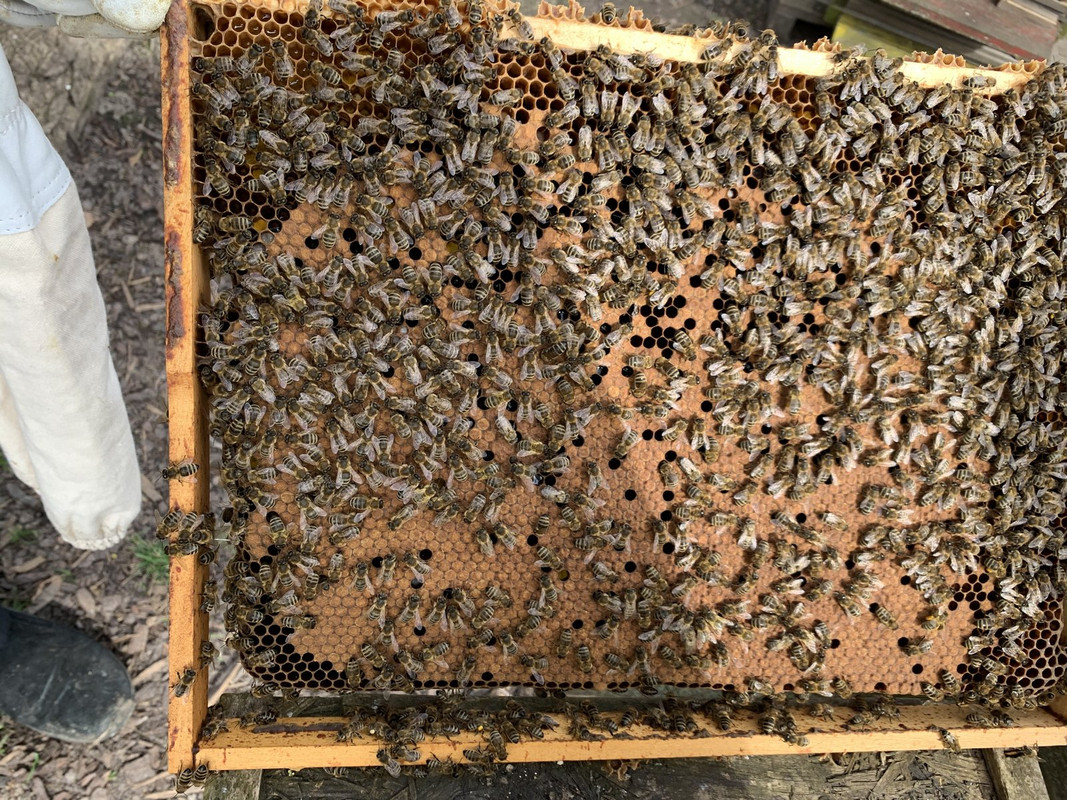 8338AEA3-C8AB-4A8A-9C05-3187A1069CEB