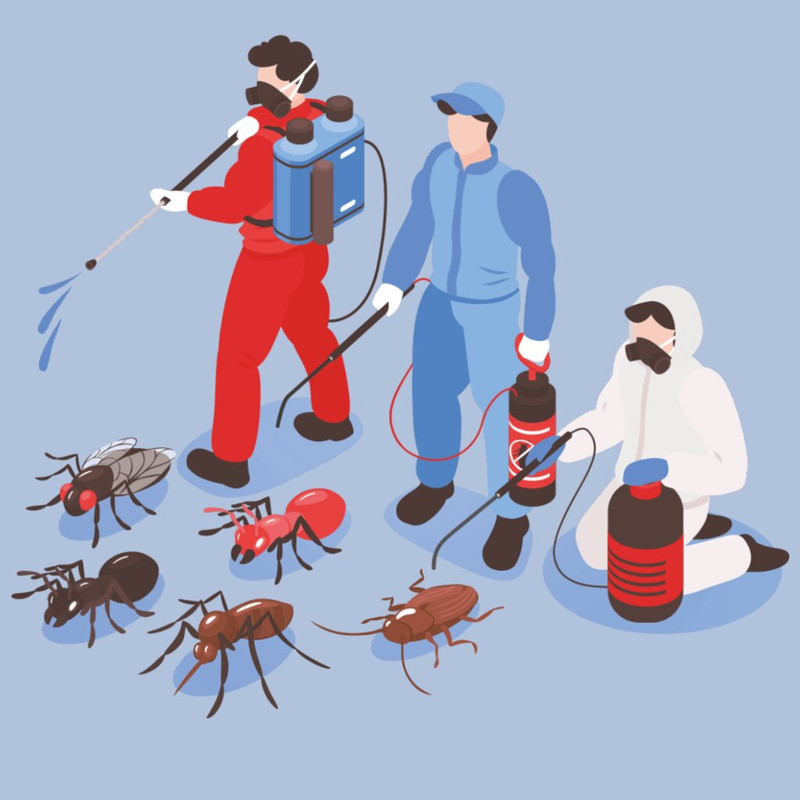 Борьба с непрошенными гостями: Как избавиться от тараканов с помощью эффективной дезинсекции