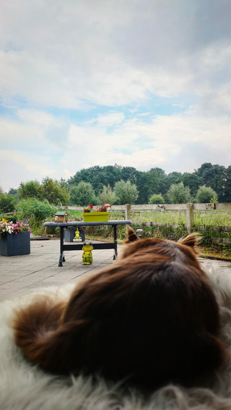 Lumii_20210726_162715831