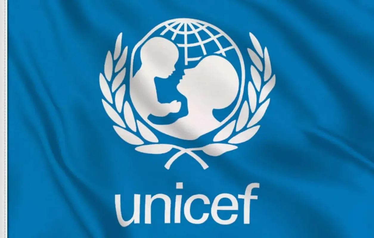 Senior Executive Associate Needed in UNICEF: Apply Now