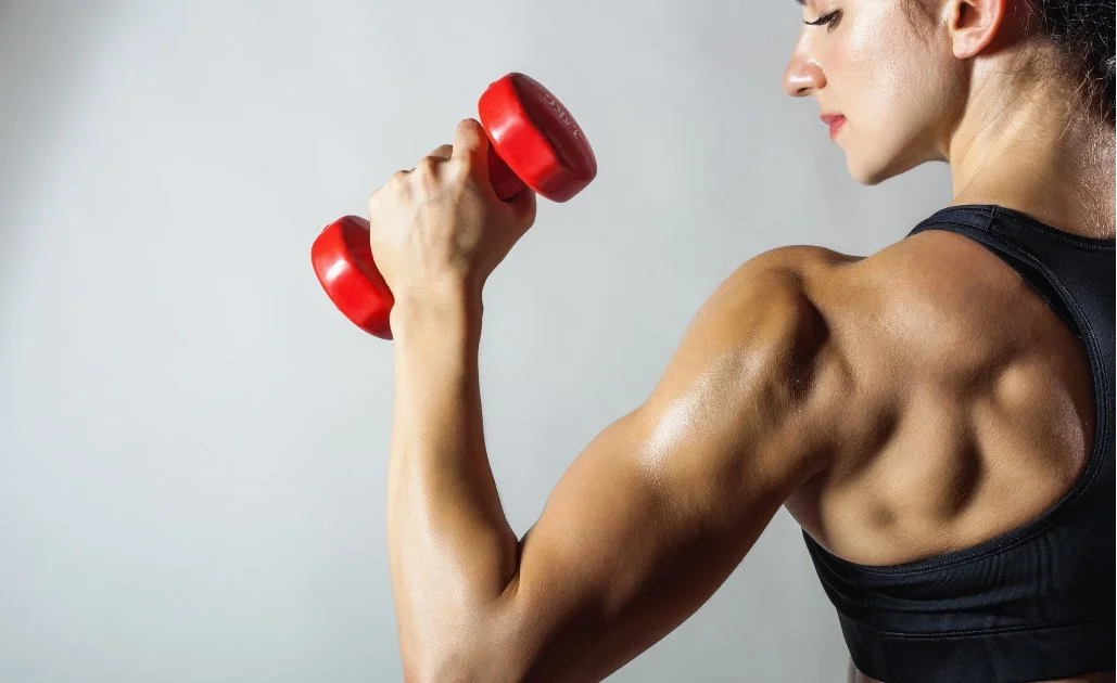 Muscle building exercise routine