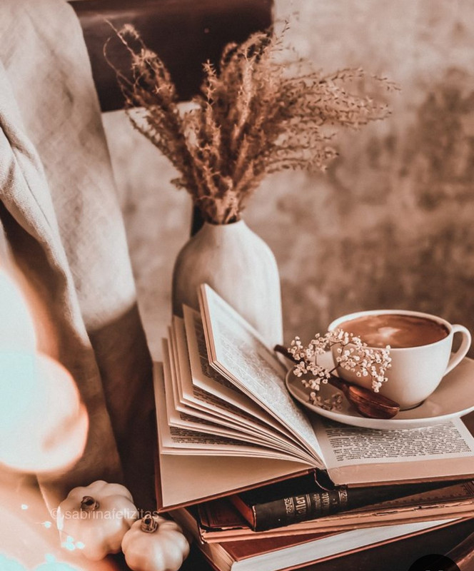 Screenshot_20240608_071136_Pinterest