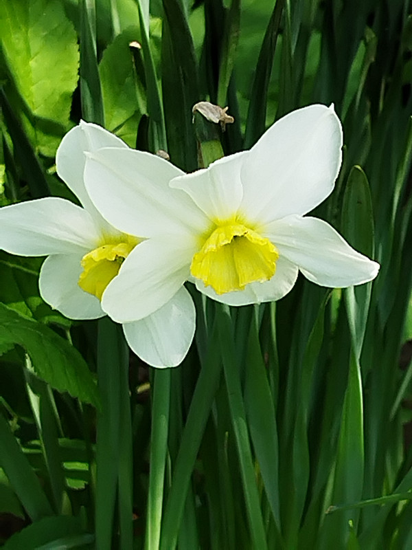 IMG 20240430 113211 — Postimages