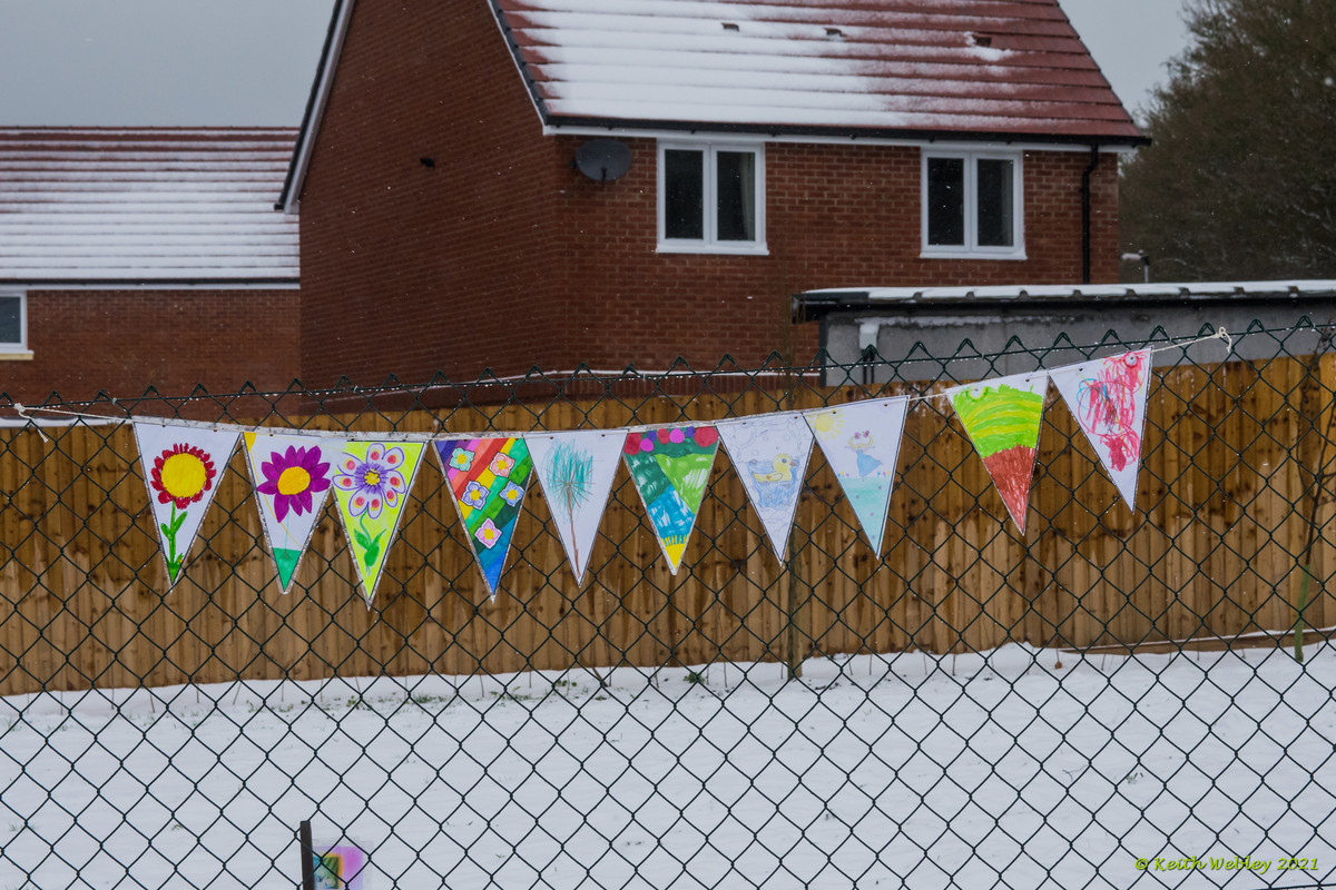 Bunting 3