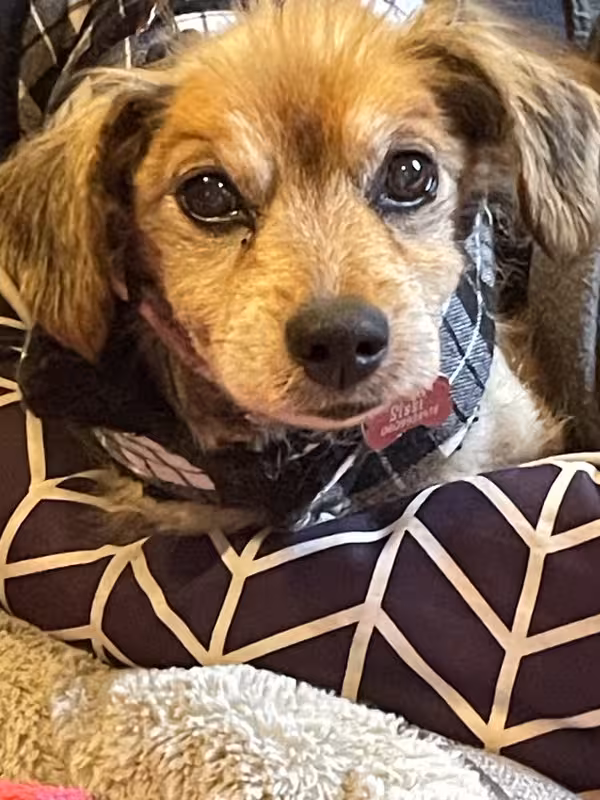 [Image: IMG-20241229-084717.avif]