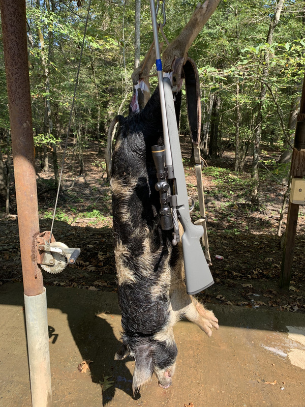 58050FAB-DA55-48EF-89AC-AE4B7D49BF22