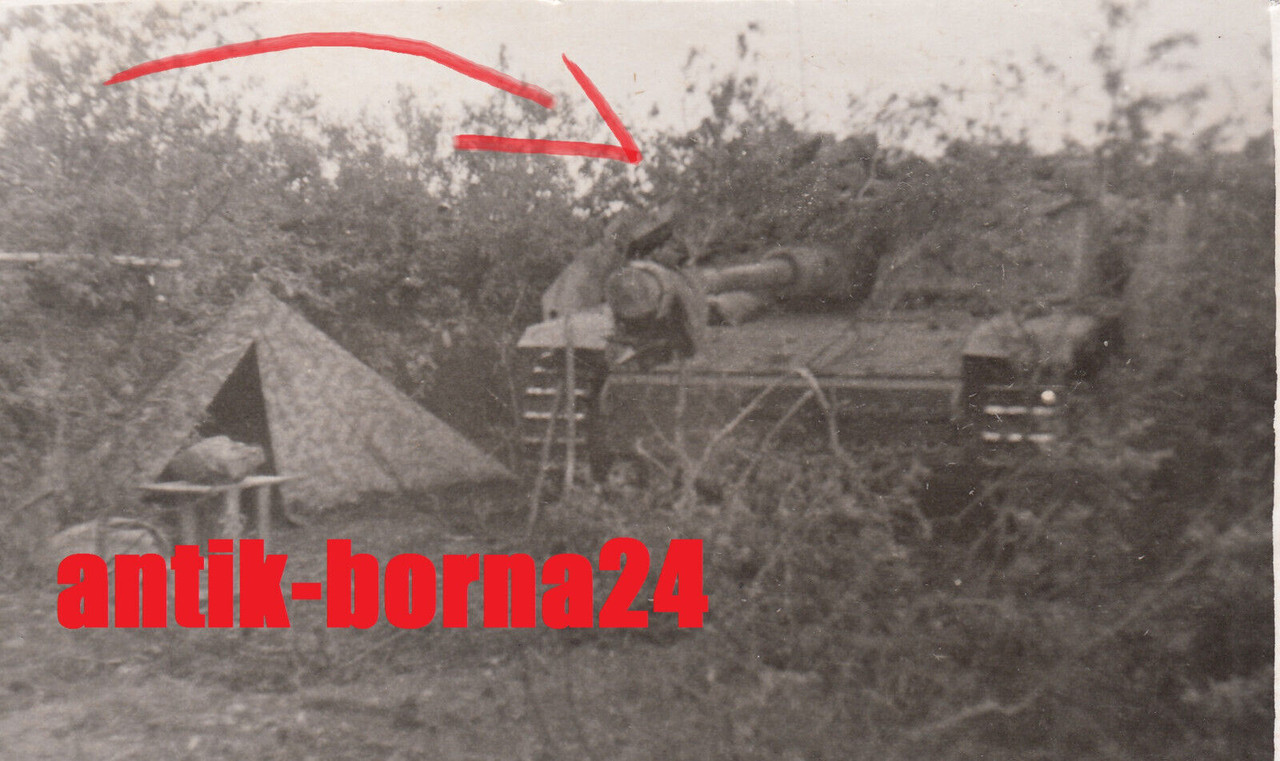 Foto Panzer Sturmgeschütz Stug Langrohr Seitenschürzen Serpeni Moldawien 44 #252
