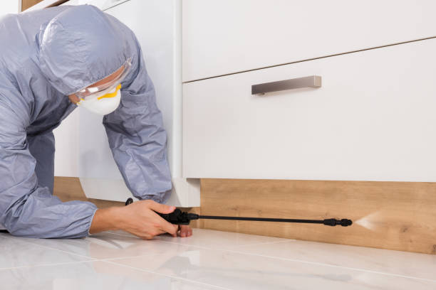 Kissimmee Pest Control